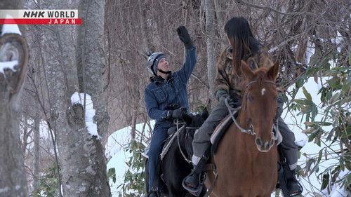 Wild Hokkaido! Season 9 Episode 4 - Winter Horse Trekking in Spectacular Scenery!