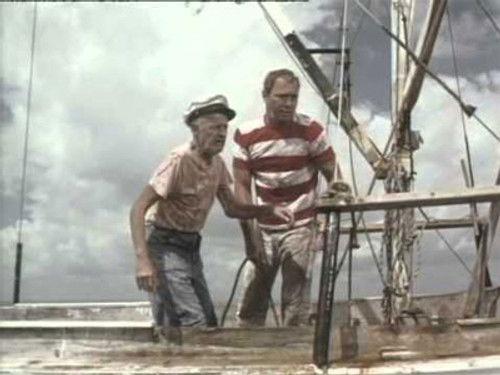 Flipper Season 3 Episode 15 - Flipper and the Fugitive (2)