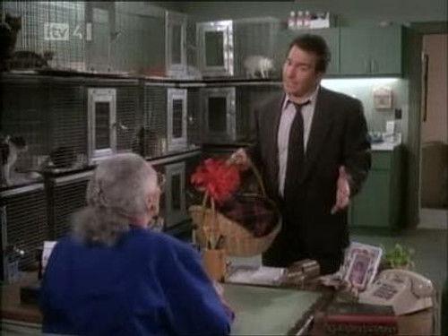 Dream On Season 4 Episode 24 - Felines ... Nothing More Than Felines