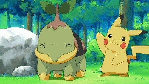 Pokémon Season 10 Episode 5 - Gettin' Twiggy with It!