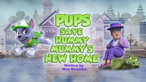 PAW Patrol Season 12 Episode 5 - Pups Save Hummy Mummy's New Home
