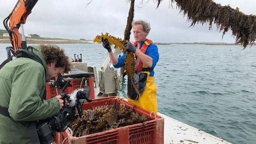 42 – The Answer to Almost Everything Season 1 Episode 20 - Episode 20