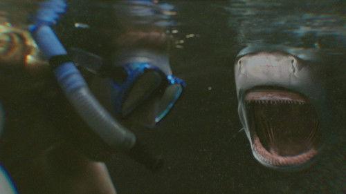 When Sharks Attack Season 6 Episode 5 - Blood In The Water