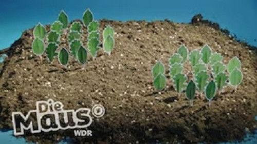 Die Sendung mit der Maus Season 54 Episode 14 - Episode 14