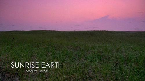 Sunrise Earth Season 1 Episode 5 - Sea of Terns