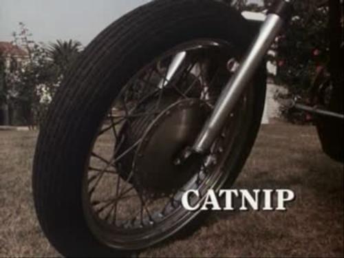 Darkroom Season 1 Episode 11 - Catnip