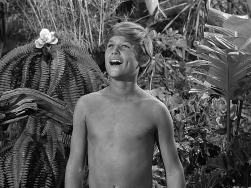 undefined Season 1 Episode 19 - Gilligan Meets Jungle Boy