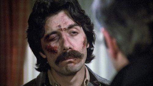 Hill Street Blues Season 2 Episode 13 - Zen and the Art of Law Enforcement