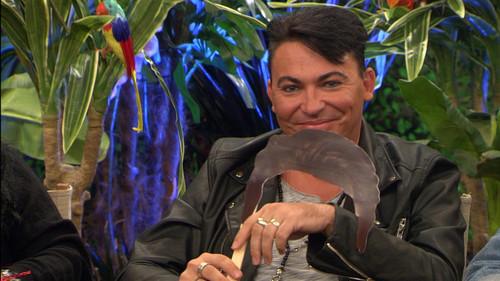 Ich bin ein Star – Holt mich hier raus! Die Stunde danach Season 2 Episode 8 - Episode 8