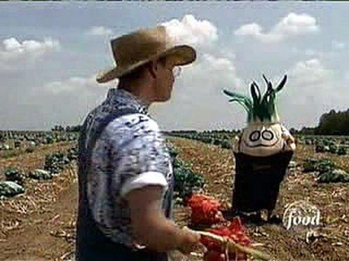 Good Eats Season 1 Episode 9 - A Bowl of Onion