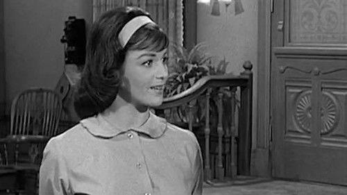 Petticoat Junction Season 1 Episode 22 - The Art Game