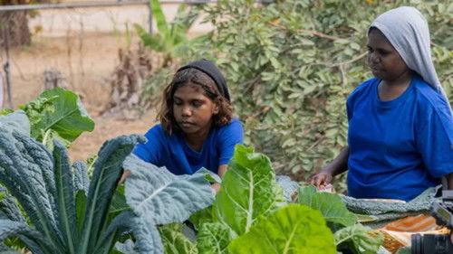 Gardening Australia Junior Season 3 Episode 14 - Harvest Heros