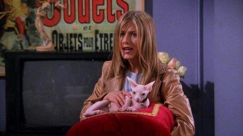 Friends Season 5 Episode 21 - The One with the Ball