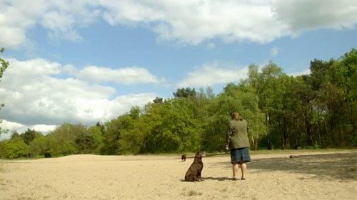 Gooische Vrouwen Season 3 Episode 4 - Wijnproeven