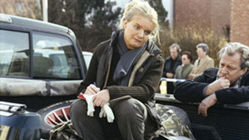 Witse Season 1 Episode 11 - De vergelding