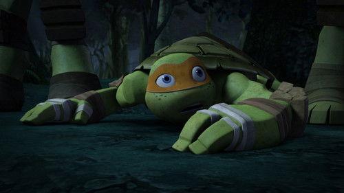 Teenage Mutant Ninja Turtles Season 3 Episode 8 - Vision Quest