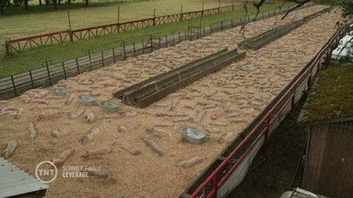 undefined Season 5 Episode 9 - The Rundown Job