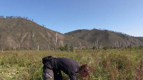 Alone Season 5 Episode 3 - The Serpent