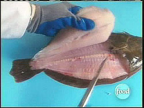 Good Eats Season 9 Episode 18 - Flat is Beautiful III - Flounder