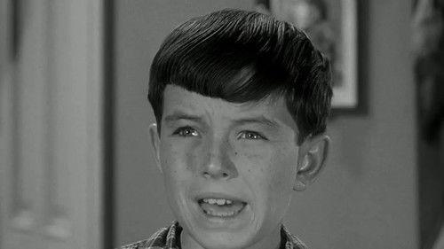 Leave It to Beaver Season 4 Episode 5 - Beaver's Freckles