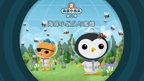 Octonauts Season 8 Episode 12 - Episode 12