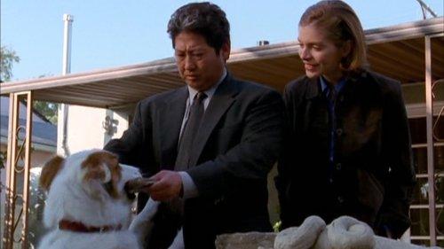 Martial Law Season 2 Episode 14 - Dog Day Afternoon