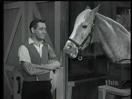 Mister Ed Season 2 Episode 24 - Lie Detector