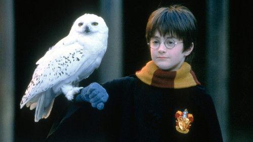 The Movies Season 1 Episode 3 - The 2000s To Today