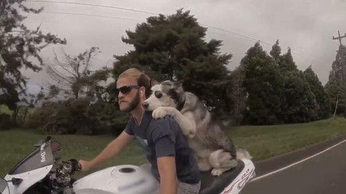 Neighborhood Wars Season 3 Episode 5 - Houseguests From Hell