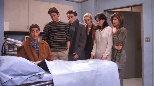 Friends Season 1 Episode 17 - The One with Two Parts (2)