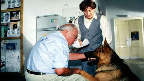 undefined Season 3 Episode 8 - Hunt For A Corpse