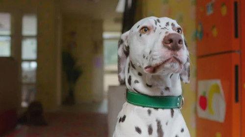 Waffle the Wonder Dog Season 1 Episode 9 - Waffle and the Good Dog