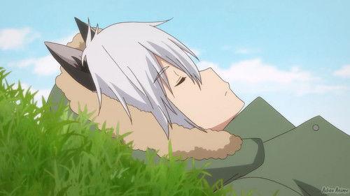 Uchitama?! Have You Seen My Tama? Season 1 Episode 22 - Nora and the Kitten