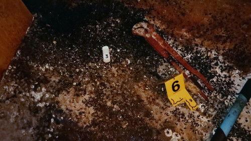 True Crime Belgium Season 1 Episode 9 - Episode 9