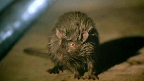 MonsterQuest Season 2 Episode 6 - Super Rats