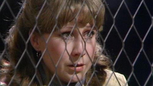 The Good Life Season 2 Episode 4 - The Day Peace Broke Out