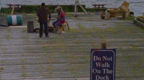 Ninja Turtles: The Next Mutation Season 1 Episode 20 - The Guest