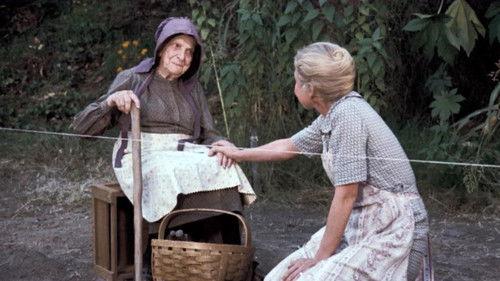 The Waltons Season 5 Episode 10 - The Pony Cart