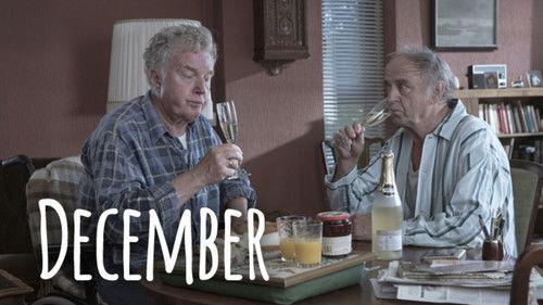 Het geheime dagboek van Hendrik Groen Season 1 Episode 12 - Episode 12