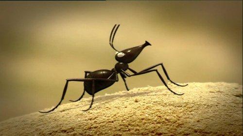 Minuscule: The Private Life of Insects Season 1 Episode 47 - Infernal Anthill