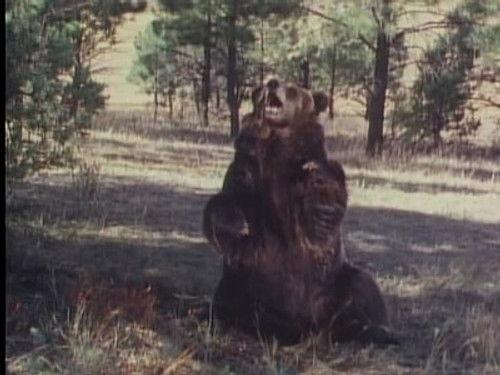 Grizzly Adams Season 2 Episode 16 - The Runaway