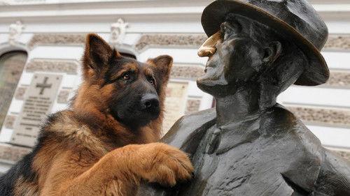 Komisarz Alex Season 3 Episode 2 - Episode 2