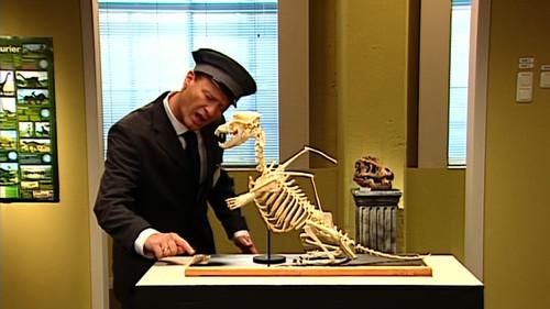 Hausmeister Krause – Ordnung muss sein Season 5 Episode 4 - Episode 4