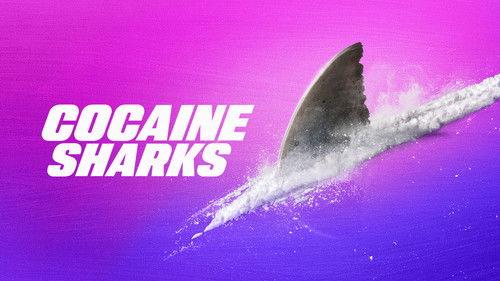Shark Week Season 36 Episode 13 - Cocaine Sharks
