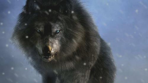 Strange Evidence Season 5 Episode 8 - Revenge of the Monster Wolf