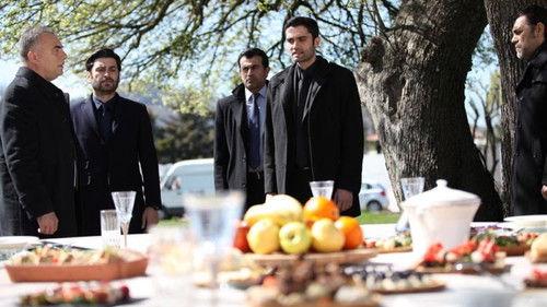 Bandits Cannot Rule The World Season 2 Episode 24 - Episode 64