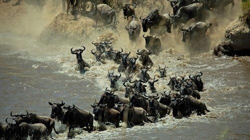 Welcome to Earth Season 1 Episode 3 - Mind of the Swarm