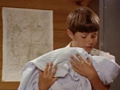 Skippy the Bush Kangaroo Season 1 Episode 16 - When the Bough Breaks