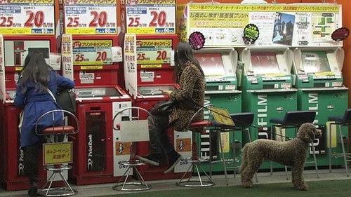 Document 72 Hours Season 5 Episode 7 - Close Encounters! Street Corner Photo Printing Machine