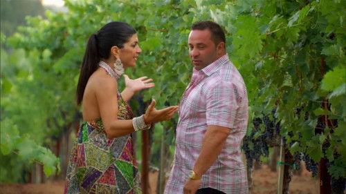 The Real Housewives of New Jersey Season 4 Episode 16 - Whine Country
